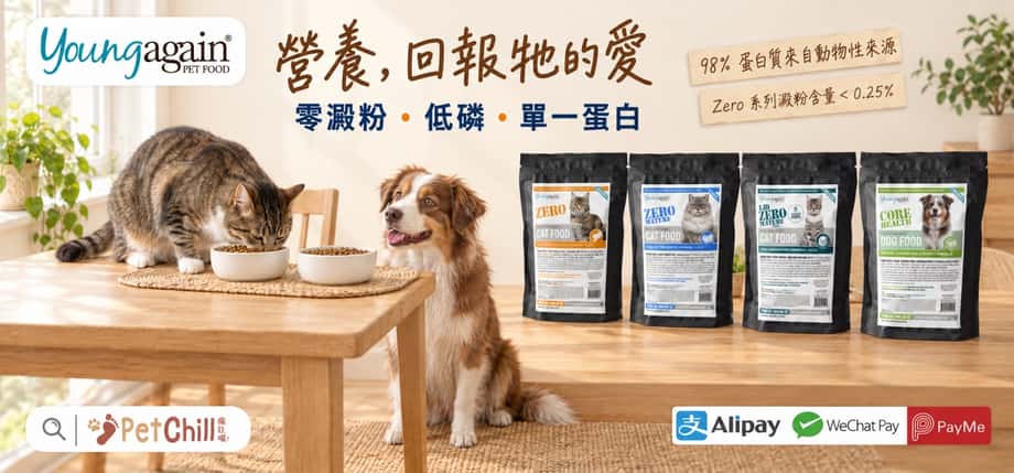 Young Again 貓狗糧：ZERO 貓糧、ZERO MATURE 貓糧、LID ZERO MATURE 貓糧、CORE HEALTH 狗糧｜零澱粉、低磷、單一蛋白｜PetChill 香港寵物店