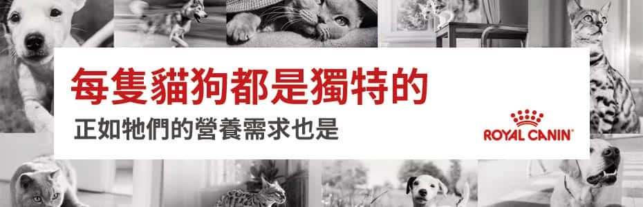 royal canin貓糧 , royal canin狗糧 , royal canin貓糧評價 , royal canin幼貓糧 , royal canin營養奶 , royal canin濕糧 , royal canin處方糧 , royal canin評價 , royal canin罐頭 , royal canin奶粉