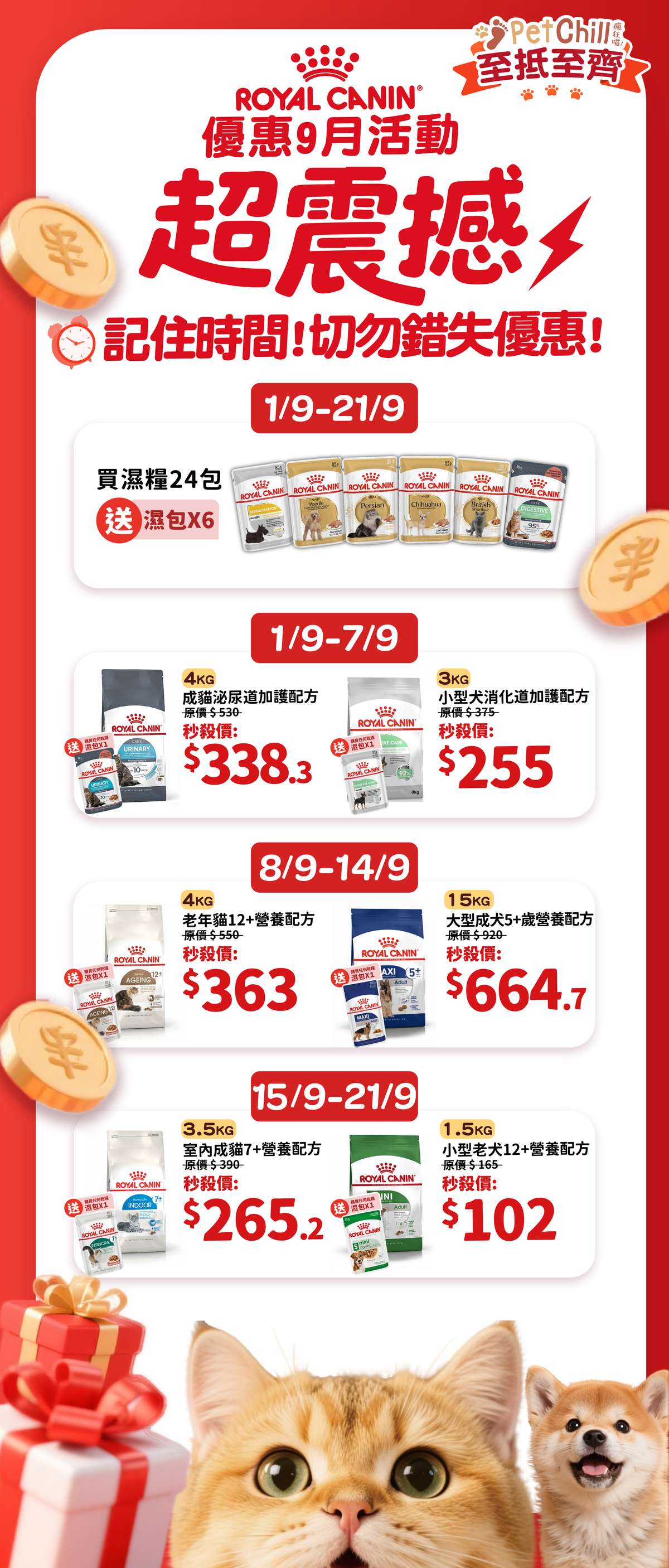 活動詳細