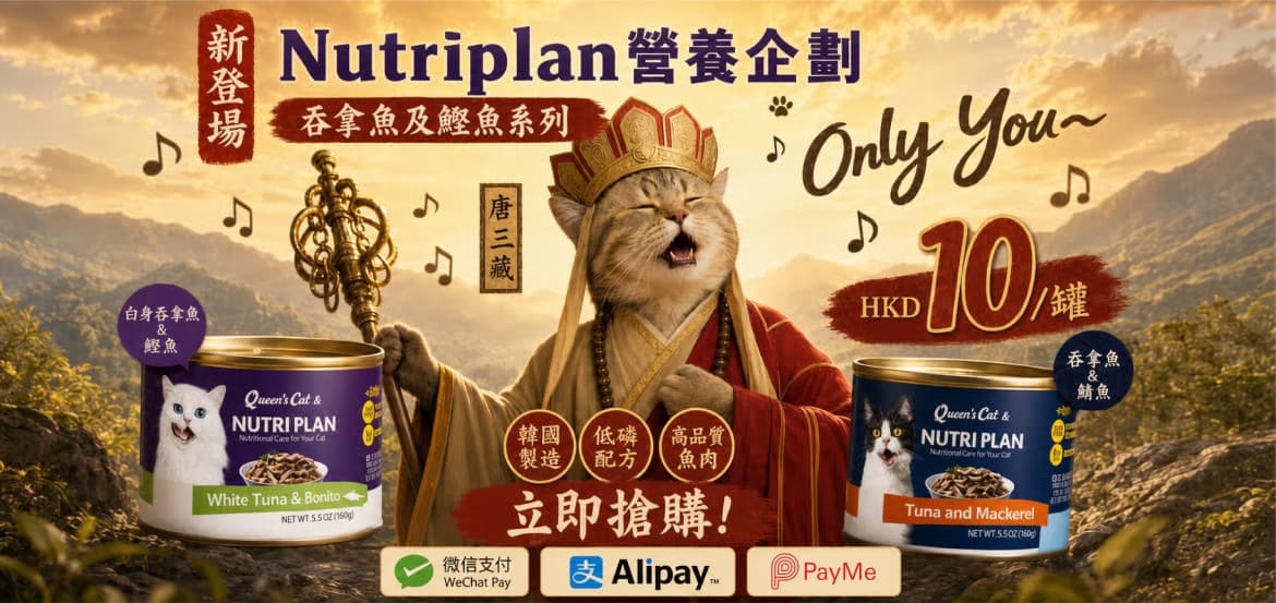 PetChill 優惠 6