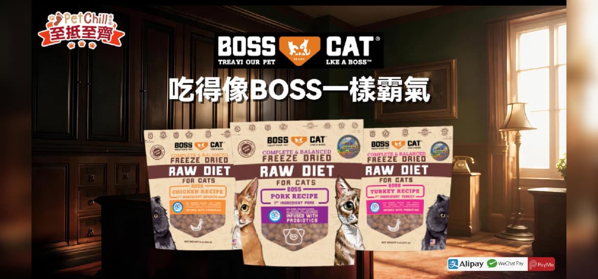 PetChill 優惠 3