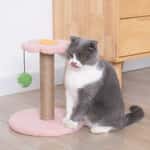 【Fussie Cat 礦物貓砂 Exchange item】HelloDOG 玩具嚴選 可愛造型貓抓柱玩具 小花花 1個 (顏色隨機)