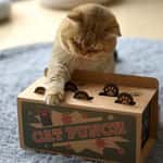 【Fussie Cat 礦物貓砂 Exchange item】貓咪必玩 貓玩具 瓦楞紙打地鼠玩具