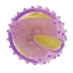 Petio Petio 狗玩具 益智沙沙球 (91602002)