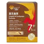 營養保充劑 Cosset 靈芝蟲草老年犬專用配方 30粒 (CS0002A)