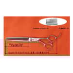 皮膚毛髮護理 Solidpet蘇力 專業美容剪 牙剪 6.5吋 (PCB6546V)