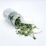 木天蓼 貓草 Mad Farmers 梅德農夫 貓薄荷原葉 10g (MDF0646)