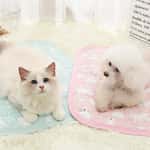 寵物床墊用品 夏日冰涼墊 寵物床墊 粉熊/藍熊/牛油果 款式隨機 M碼 (60x50cm)