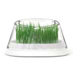 木天蓼 貓草 MOBOLI 秘密森林貓草碗 20x20x10.7cm 白色 (mo10108)