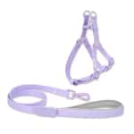 外出用品 TOUCHDOG 奶油牽繩套裝 M 20mm (顔色隨機)