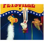 逗貓棒 PETSVILLE ⾺戲團逗貓棒 (款式隨機)