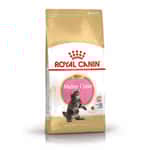 Royal Canin Royal Canin 貓糧 法國皇家貓糧 純種系列 緬因幼貓專屬配方 KMCO 2kg (R448637)