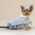 狗帶 狗胸帶 狗雨衣 Alqo Wasi 精選拉丁織布斗篷 藍色 L