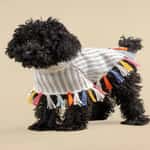 狗帶 狗胸帶 狗雨衣 Alqo Wasi 民族式絮花披肩彩虹色 XS