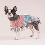 狗帶 狗胸帶 狗雨衣 Alqo Wasi 民族式絮花披肩繡花色 XS