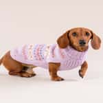 狗帶 狗胸帶 狗雨衣 Alqo Wasi 頂級樽領圖案衞衣織布色 S