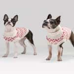 狗帶 狗胸帶 狗雨衣 Alqo Wasi 頂級樽領圖案衞衣 人字碎花 S 