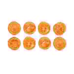 Nasami Nasami 狗零食 風乾小食系列 雞肉圓片 1kg (NS-1035)