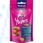 Vitakraft Vitakraft 貓零食 美毛肉汁軟粒 三文魚+奧米加3 40g (VK28823B)