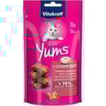 Vitakraft Vitakraft 貓零食 活血肉汁軟粒 肝香腸 40g (VK28822B)