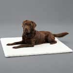 寵物床墊用品 Full Creation 人造羊毛床 thermo bed 48cm x 38cm (FC-B48AS)