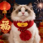 其他 寵物圍巾 新年毛線醒獅發財配飾貓咪圍巾 款式隨機 1套