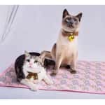 【Natures Protection Nature Protection 換購品】日式冰涼冷感寵物降溫冰絲墊 L碼 (款式隨機)