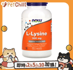 營養膏 保充劑 貓咪保健用品 NOW Foods L-Lysine 離胺酸 NOW-00112 500mg 250 Capsules