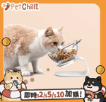 飲食用具 寵物護頸脊糧食碗 透明單碗