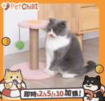 【TIDY CATS 礦物貓砂 換購品】HelloDOG 玩具嚴選 可愛造型貓抓柱玩具 小花花 1個 (顏色隨機)