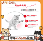 Royal Canin 法國皇家 貓糧 Royal Canin 貓糧 法國皇家貓糧 Kitten 健康營養系列 FHN 幼貓營養配方 K36 2kg (2522020012)