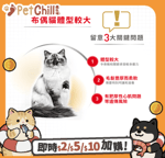 Royal Canin 法國皇家 貓糧 Royal Canin 貓糧 法國皇家貓糧 純種系列 布偶成貓專屬配方 RD 2kg (2515020010)