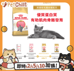 Royal Canin 法國皇家 貓糧 Royal Canin 貓糧 法國皇家貓糧 純種系列 英國短毛幼貓專屬配方 KBSH38 10kg (2520100)