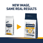 ADVANCE 處方糧 狗糧 腎臟專用12kg (962347) (新舊包裝隨機發貨) 狗糧 ADVANCE 處方糧 寵物用品速遞