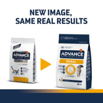 ADVANCE 處方糧 貓糧 腎臟專用 8kg (962345) 貓糧 貓乾糧 ADVANCE 處方糧 寵物用品速遞