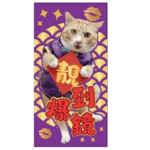 其他 WELLNESS Core 紅包 (大舊) (WNCNY01) (非賣品) (贈品)
