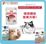 Royal Canin 法國皇家 貓罐頭 Royal Canin 法國皇家 貓濕糧 成貓理想體態營養主食濕糧 (啫喱) 85g