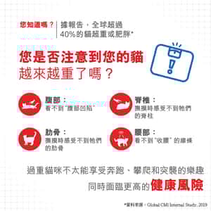 Royal Canin Dry Cat Food Light Weight Recipe LI40 8kg (2524080010) (圖片4)