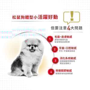 Royal Canin Wet Dog Food BHN Pomeranian Adult Dog (Loaf) 85g (圖片5)