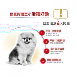 Royal Canin 狗糧 法國皇家狗糧 松鼠犬 純種犬配方 3kg (2858700) (圖片4)