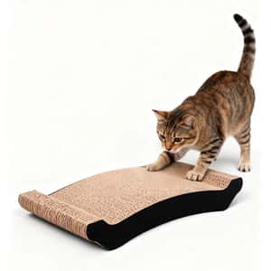 貓抓板 貓爬架 瓦楞紙貓抓板 玩具嚴選 黑邊兜形