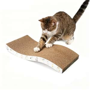 貓抓板 貓爬架 HelloDOG 玩具嚴選 瓦楞紙貓抓板 S微彎形 顏色隨機