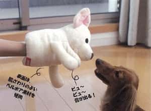 日本Bonbi ILOVEPETS Animal Mitten LoveDog 狗狗手偶玩具 啡白牧羊犬 一個入 (圖片4)