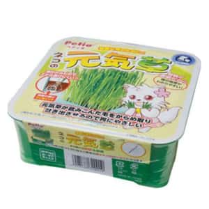 貓咪去毛球 Petio 日本產自種貓草方便套裝 (91600949)