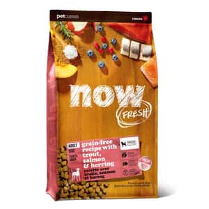 now-FRESH/狗糧/19097