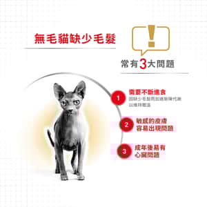 Royal Canin 貓糧 法國皇家貓糧 純種系列 無毛貓成貓專屬配方 2kg (2351000) (圖片3)