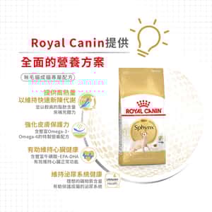 Royal Canin 貓糧 法國皇家貓糧 純種系列 無毛貓成貓專屬配方 2kg (2351000) (圖片6)