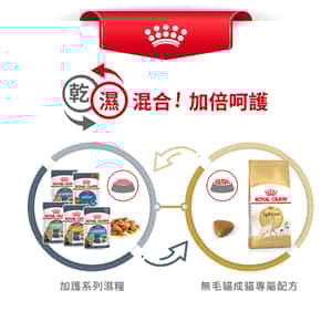 Royal Canin 貓糧 法國皇家貓糧 純種系列 無毛貓成貓專屬配方 2kg (2351000) (圖片7)