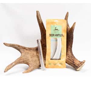 dear deer 狗零食 耐咬潔齒系列 鹿角 大號 (40619) (圖片3)