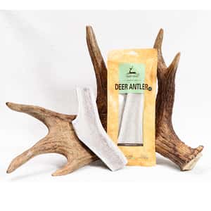 dear deer 狗零食 耐咬潔齒系列 鹿角 加大號 (40626) (圖片3)